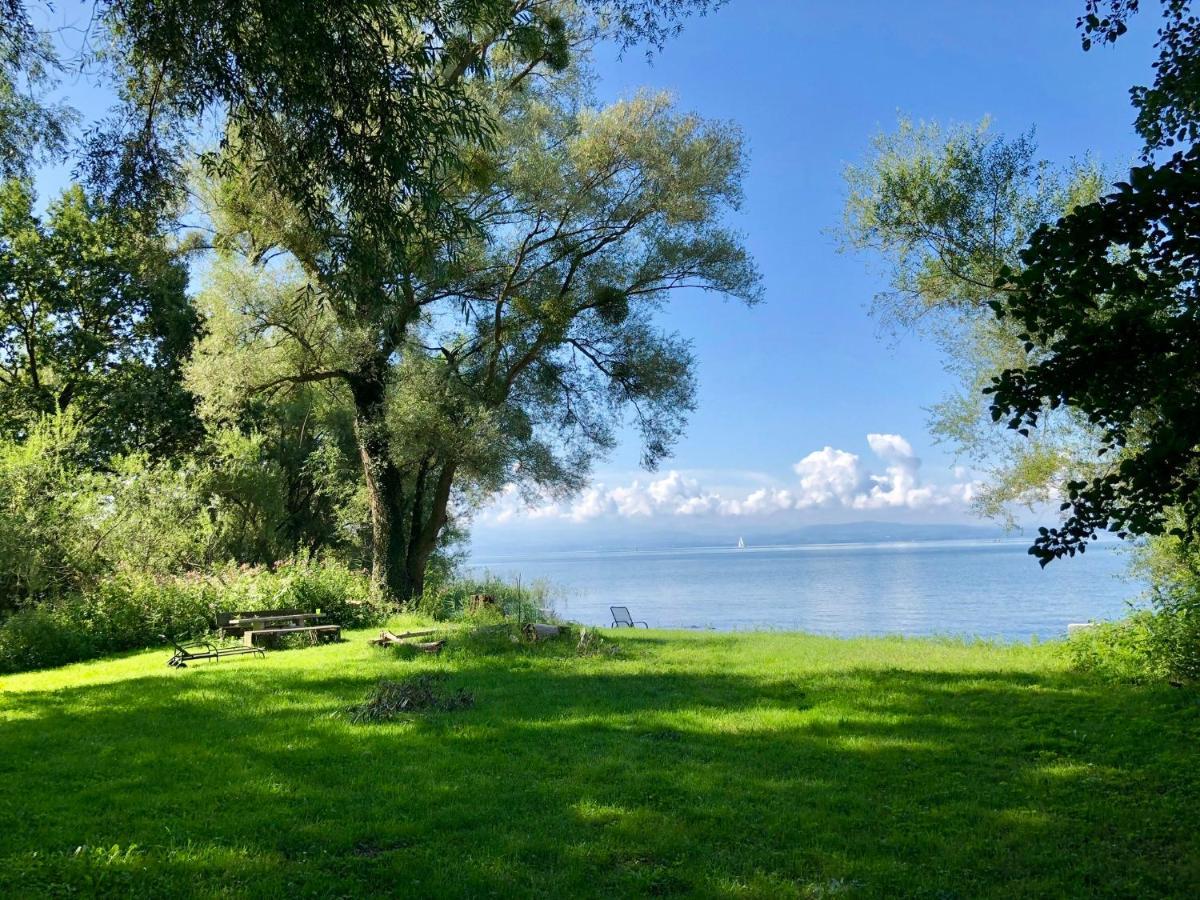 Apartment Felchen 1 - Silberweide - Mit Privatstrand Φριντρισχάφεν Εξωτερικό φωτογραφία