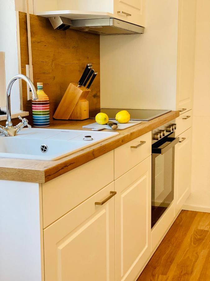 Apartment Felchen 1 - Silberweide - Mit Privatstrand Φριντρισχάφεν Εξωτερικό φωτογραφία